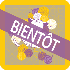 Une vie de pas chat